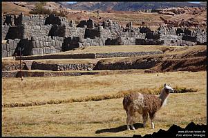 Sacsayhuaman PERU