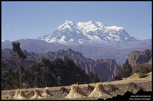 Illimani B