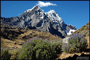 Huayhuash Ninashanca