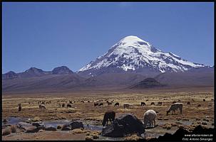 Parinacota von NP Lauca CHILE